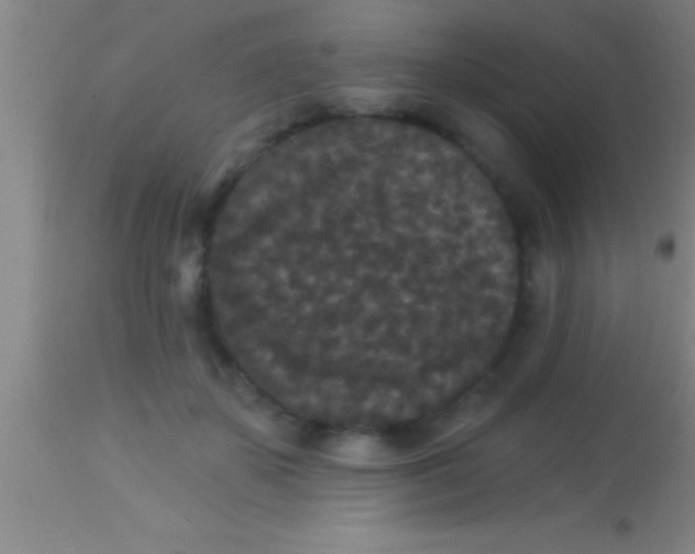 X0000113940507200910161918