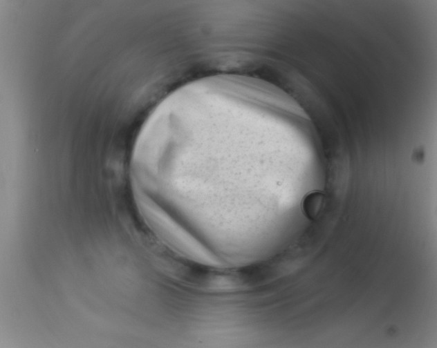X0000113940510200910161918