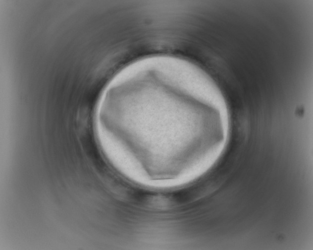 X0000113940511200910161918