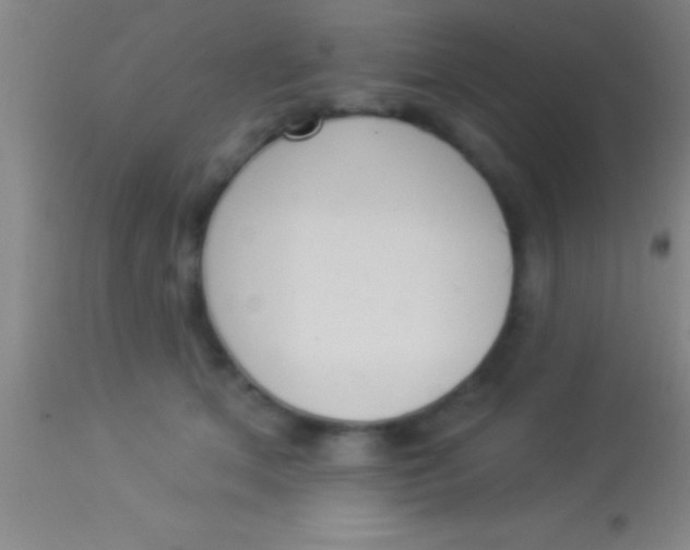 X0000113940513200910161918