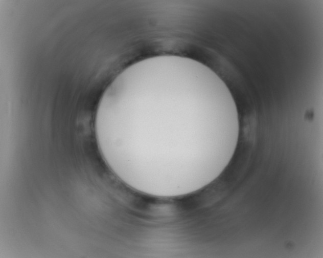 X0000113940514200910161918