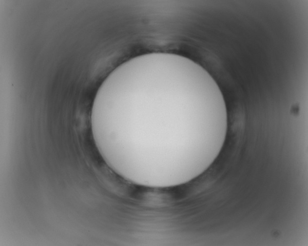 X0000113940515200910161918
