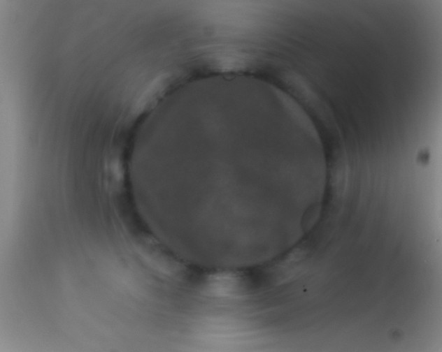 X0000113940516200910161918