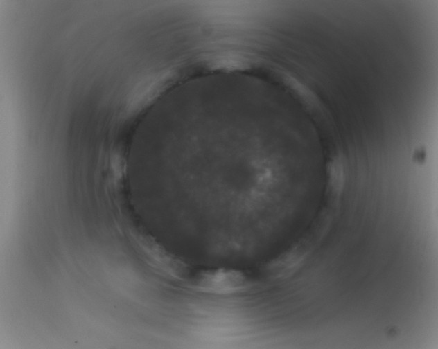 X0000113940517200910161918