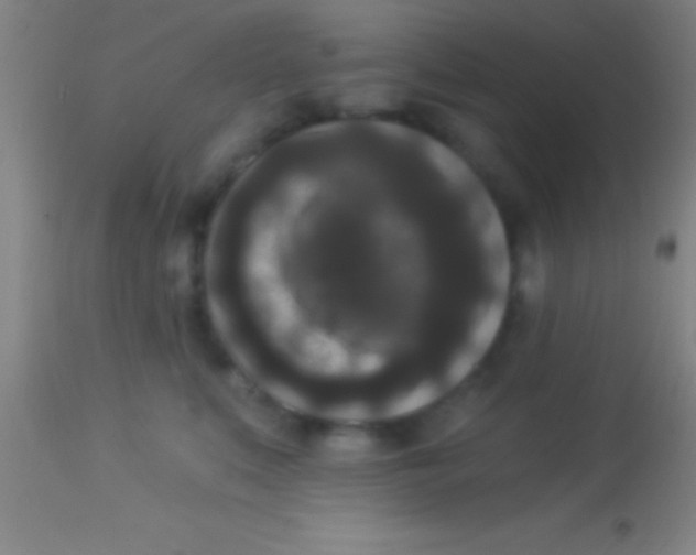 X0000113940519200910161918