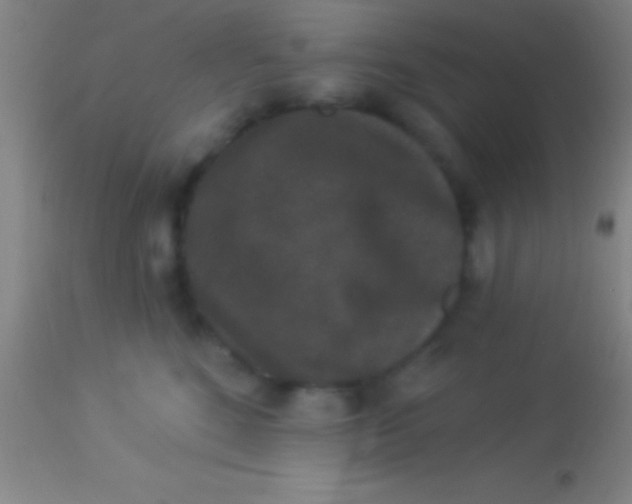 X0000113940520200910161918