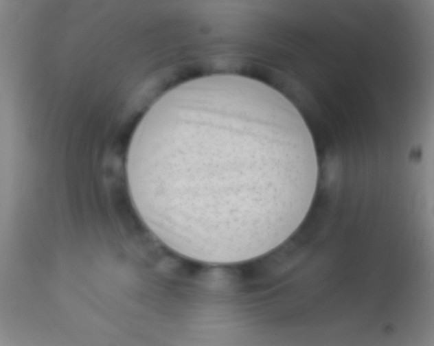 X0000113940522200910161918