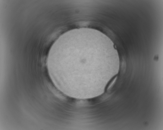 X0000113940525200910161918
