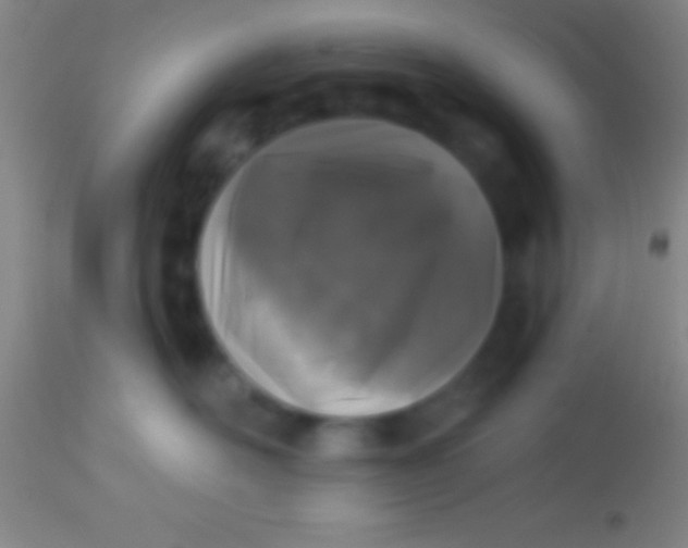 X0000113940526200910161918