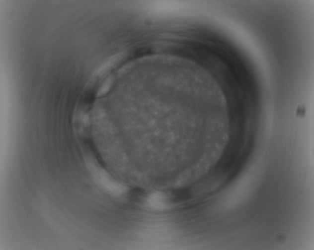 X0000113940527200910161918