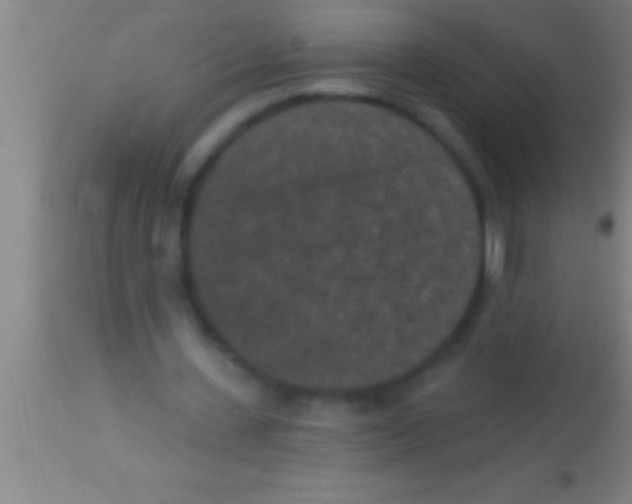 X0000113940531200910161917