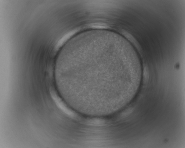 X0000113940533200910161917