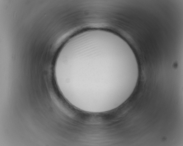 X0000113940535200910161917