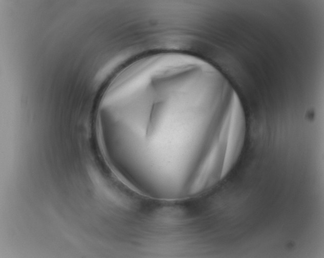 X0000113940536200910161917