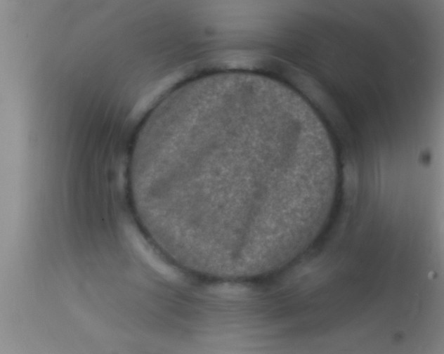 X0000113940537200910161917