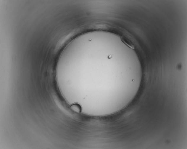 X0000113940538200910161917