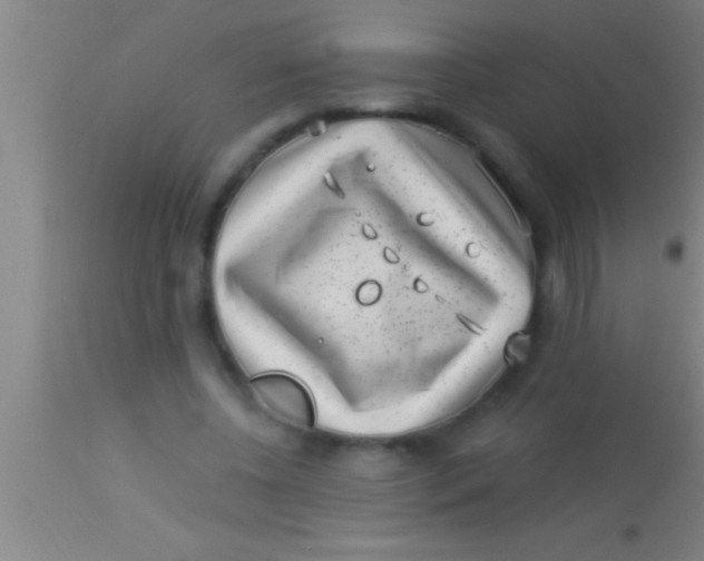 X0000113940540200910161917