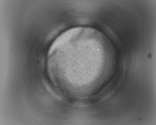 X0000113940542200910161917