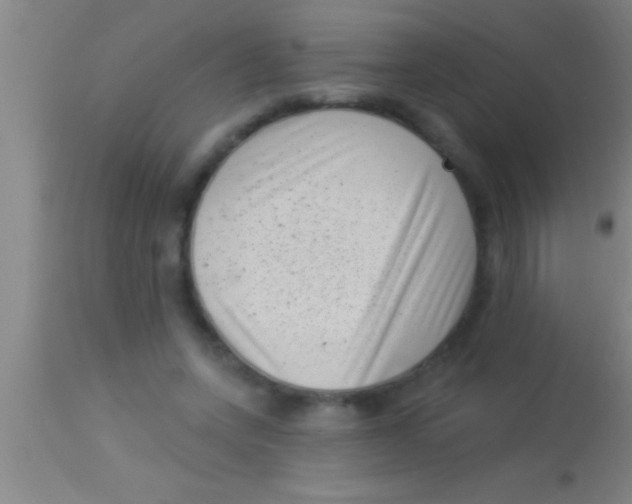 X0000113940543200910161917