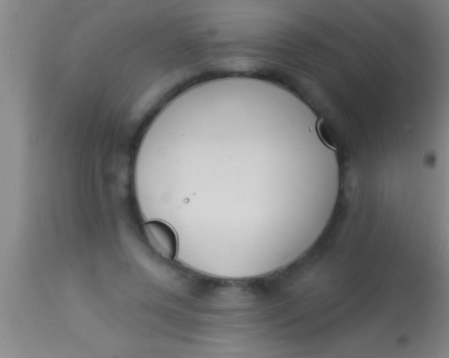 X0000113940544200910161917