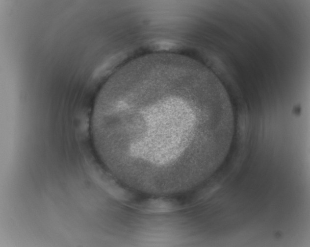 X0000113940545200910161917