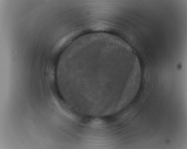 X0000113940547200910161917