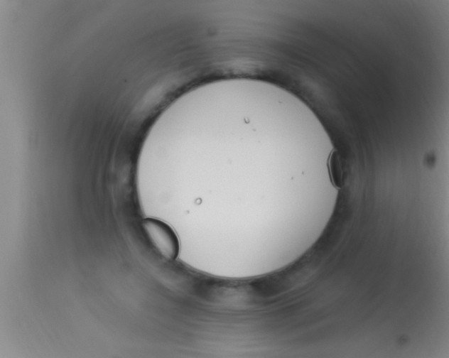 X0000113940548200910161917