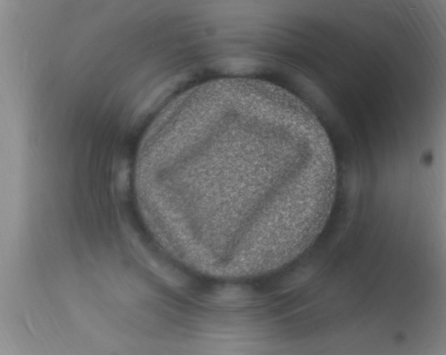 X0000113940549200910161917