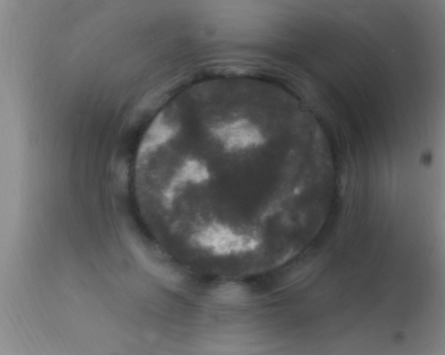 X0000113940551200910161917