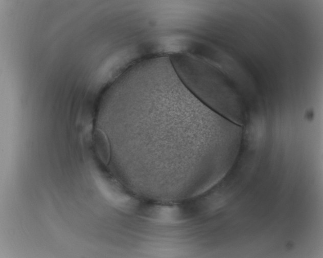 X0000113940552200910161917