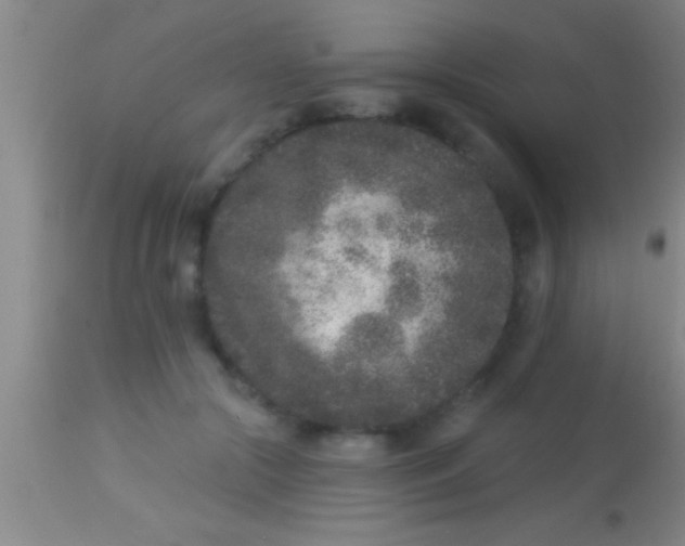 X0000113940553200910161917