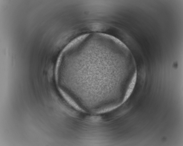 X0000113940554200910161918