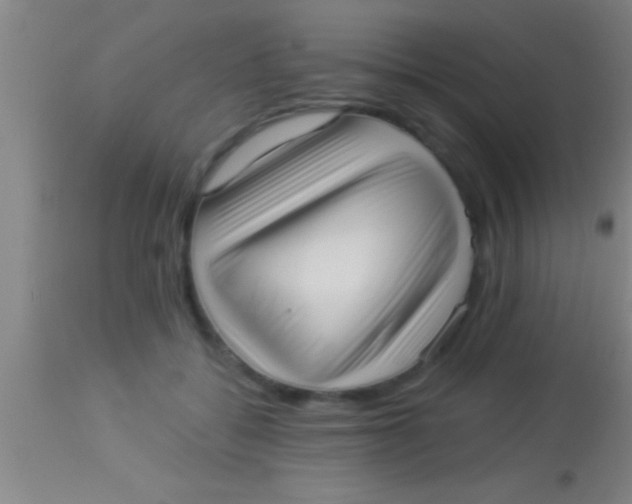 X0000113940556200910161918