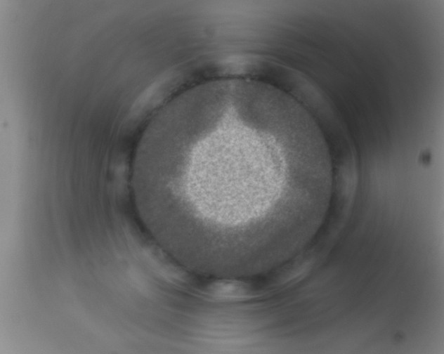 X0000113940557200910161918