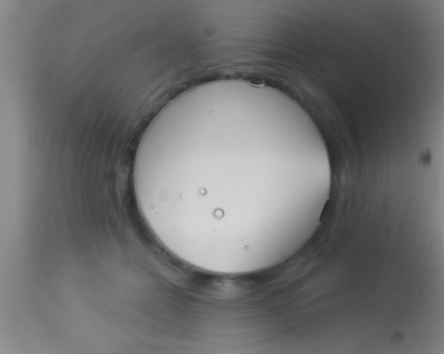 X0000113940558200910161918