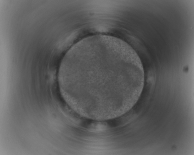 X0000113940559200910161918