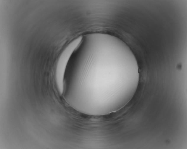 X0000113940560200910161918