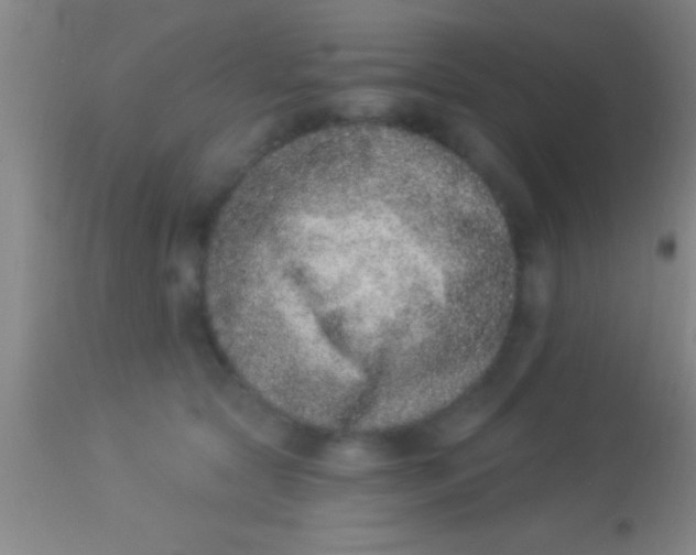 X0000113940561200910161918