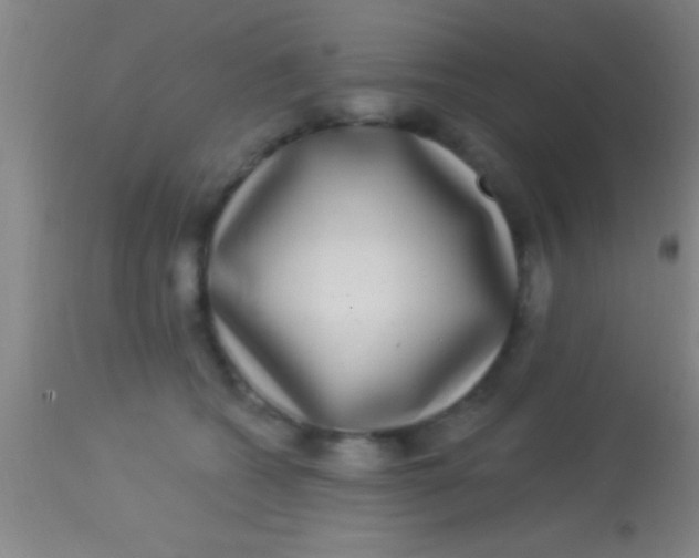 X0000113940562200910161918