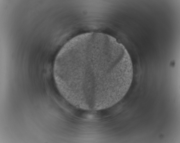 X0000113940563200910161918