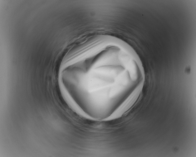 X0000113940564200910161918