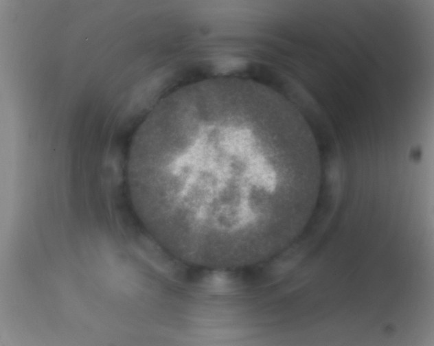 X0000113940565200910161918