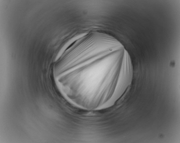 X0000113940566200910161918