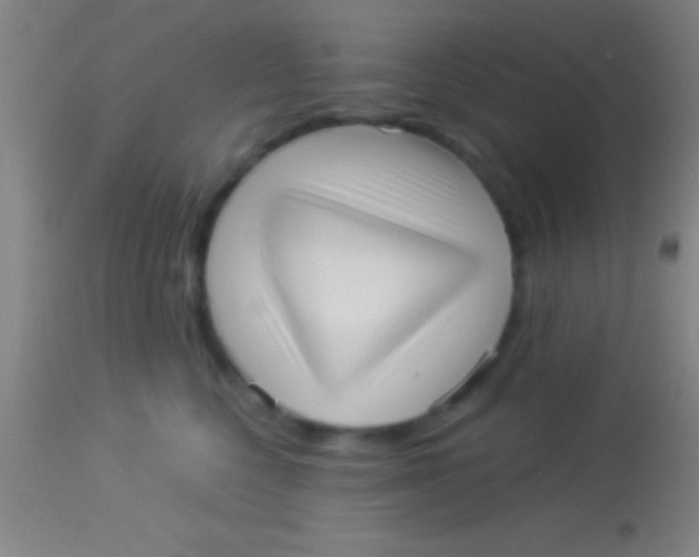 X0000113940568200910161918