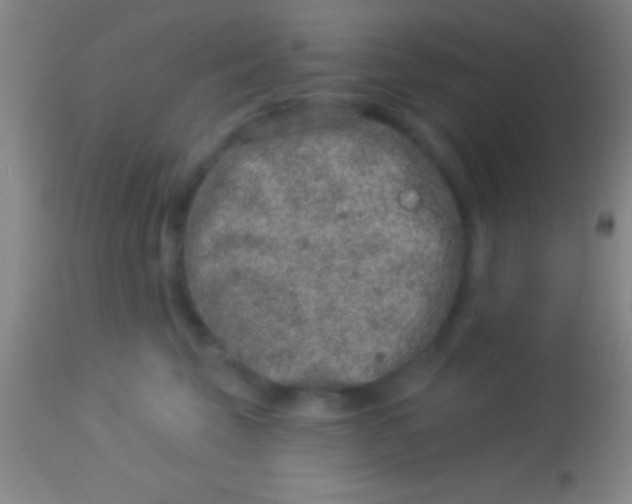 X0000113940569200910161918