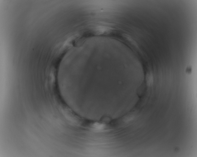 X0000113940570200910161918