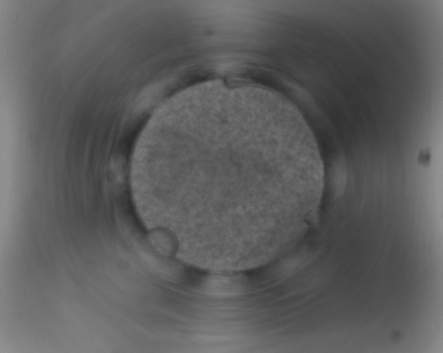 X0000113940571200910161918