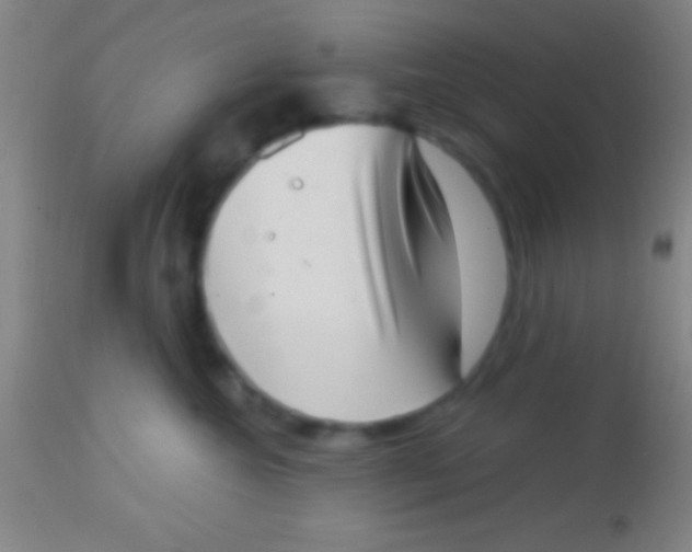 X0000113940572200910161918