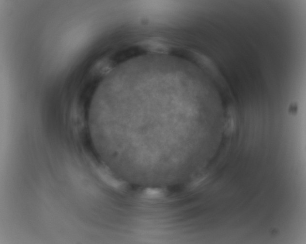 X0000113940573200910161918
