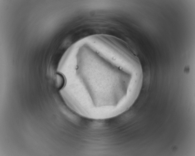 X0000113940574200910161918